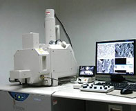 国产扫描电镜制造取得进展 关键技术实现突破