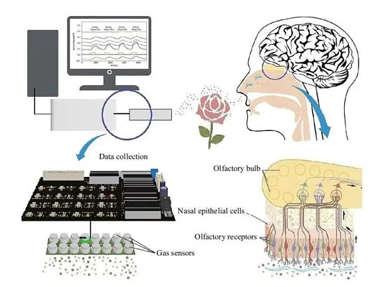 印刷气体传感器阵列中的“电子鼻”