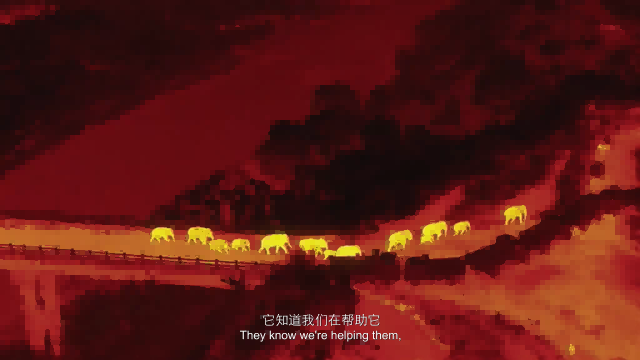 8.png